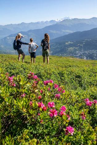 Forfait Piéton 1 Montée Été