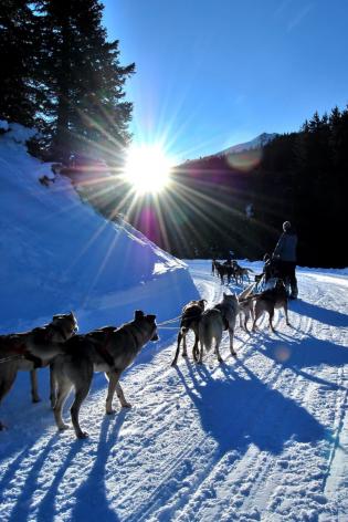 Courchevel Aventure