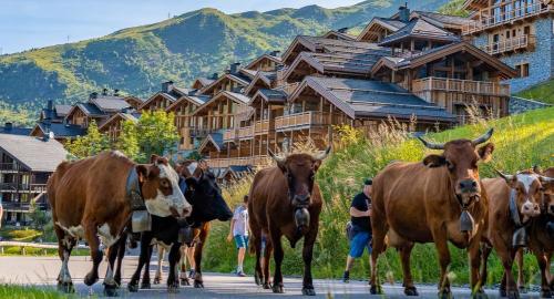 Les fêtes de villages et événements forts de l'été 2025