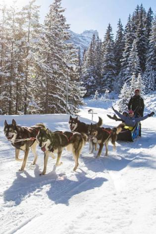 Dog-sledding