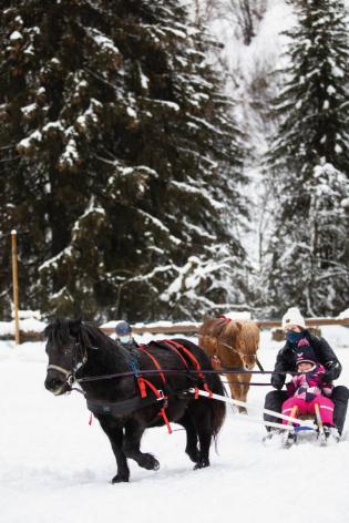 8 Activities just for your children