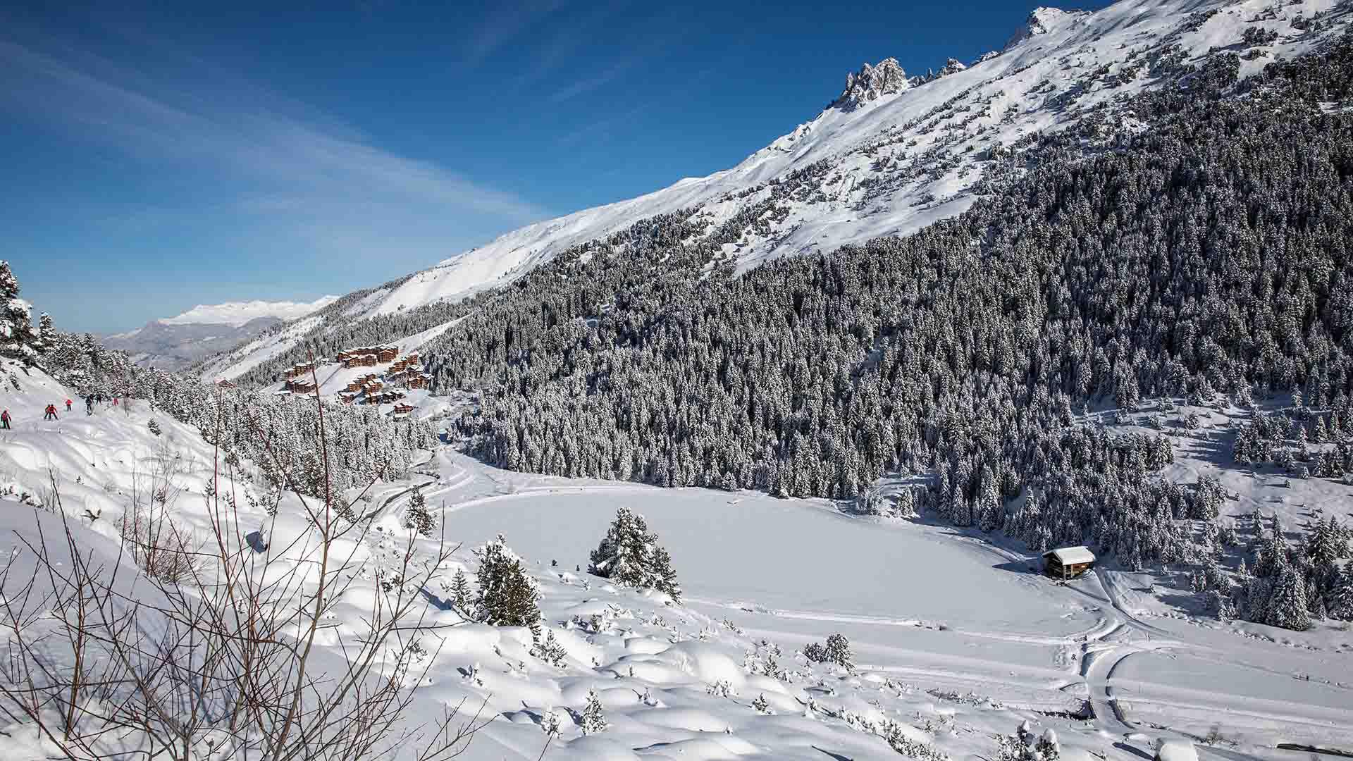 The magic of the forest at the heart of Les 3 Vallées