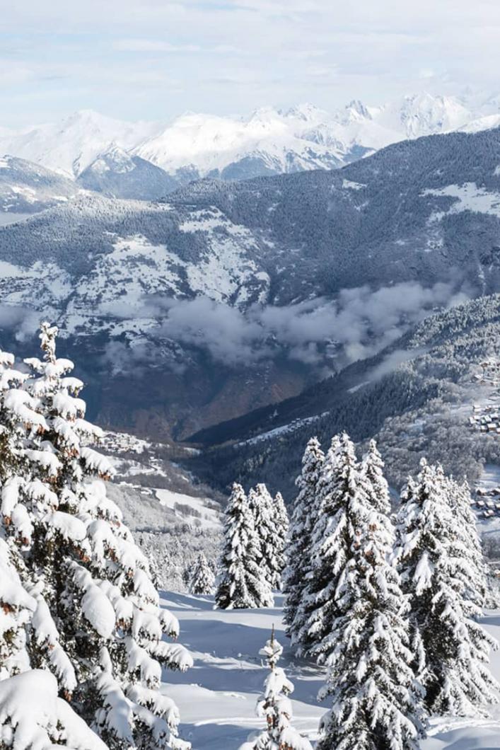 Arbres pour de la sylvothérapie à Saint-Martin-de-Belleville dans Les 3 Vallées