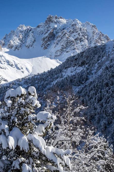 The magic of the forest at the heart of Les 3 Vallées