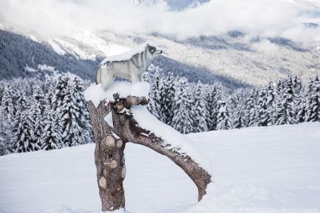 Piste des animaux à Méribel dans Les 3 Vallées