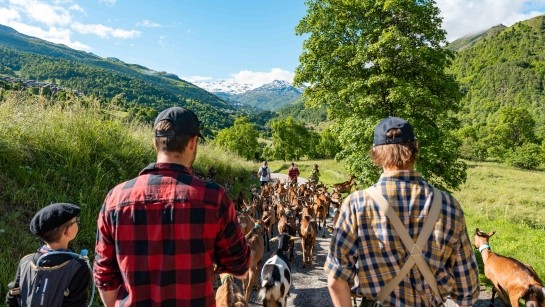 Montée en alpage depuis le village de Saint-Martin dans Les 3 Vallées