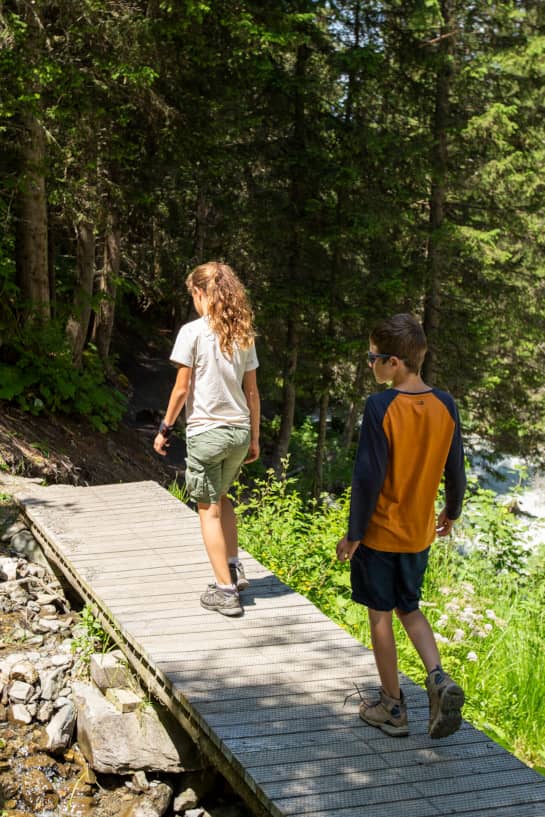 Stroll on forest routes in Les 3 Vallées to refresh yourself