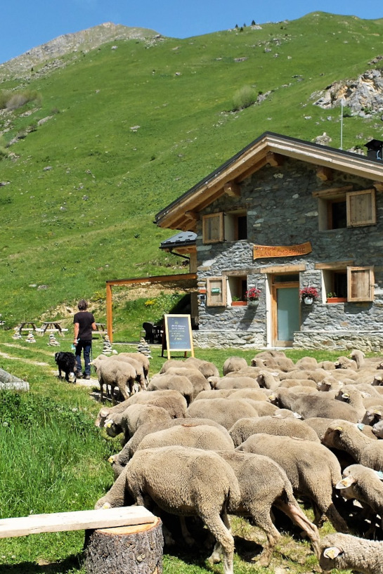 The Plan Lombardie Refuge in Les Menuires in the 3 Valleys