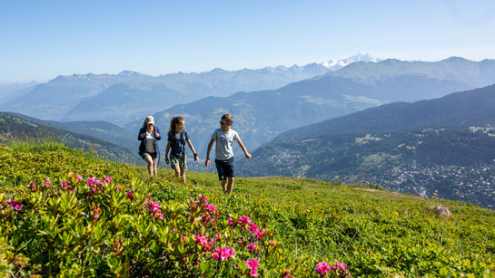 Achetez votre forfait 7 jours piéton été 3 Vallées en ligne pour profiter de vos vacances rando à la montagne