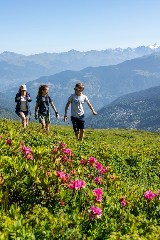 Pedestrian summer passes to discover the hiking itineraries of the 3 Valleys
