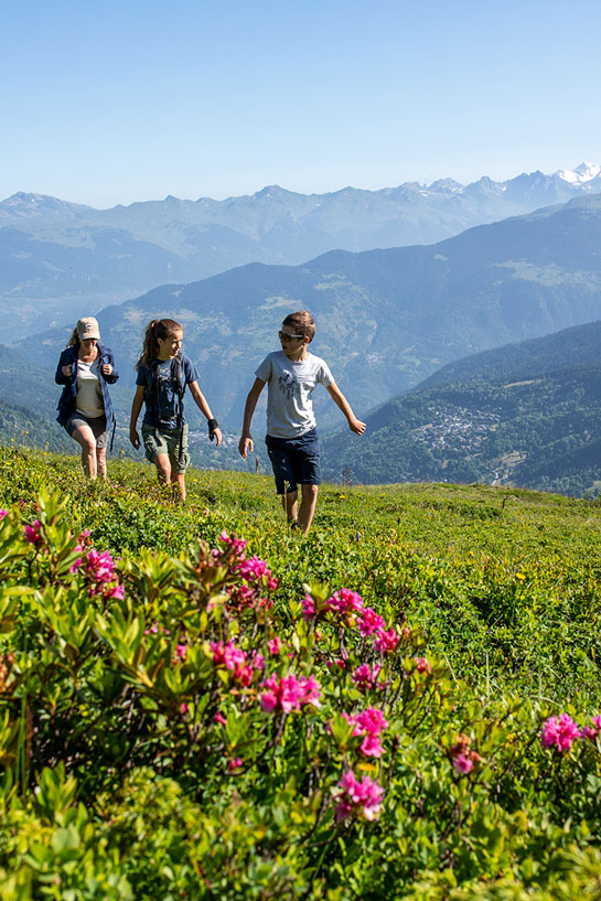 Pedestrian pass 2 sections to access the summits effortlessly thanks to the 3 Valleys ski lifts in summer