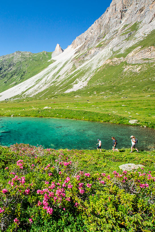 Les forfaits VTT et Piétons 3 Vallées été pour profiter des itinéraires rando et VTT des 3 Vallées