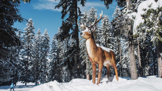 La piste des animaux à Méribel au cœur des 3 Vallées