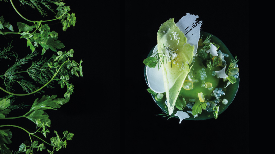 Plat gastronomique du Sarkara, les herbes, Courchevel