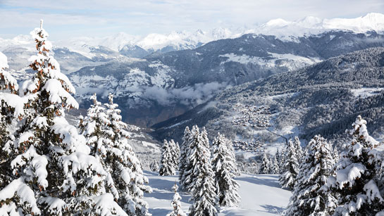The forest in Méribel on the 3 Vallées ski area