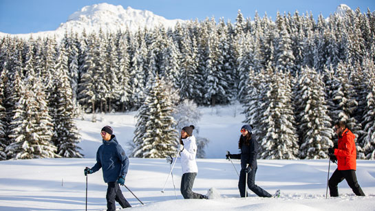 Découvrez le territoire des 3 Vallées grâce à d'autres activités comme les raquettes à neige