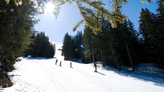 Ski en famille dans la forêt sur les pistes de Méribel