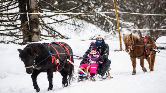 Ski-joring for children in Méribel at Le Ranch Nordique